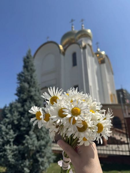 img_20260708_190702_336