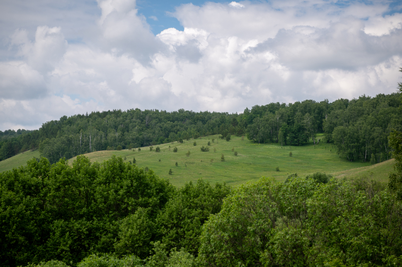 20260612-dsc_2458