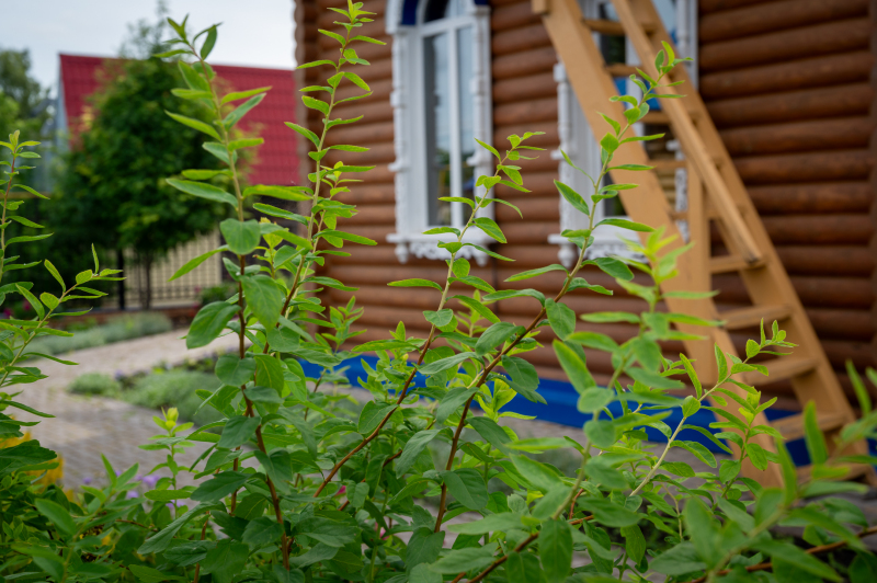 20260621-dsc_4542